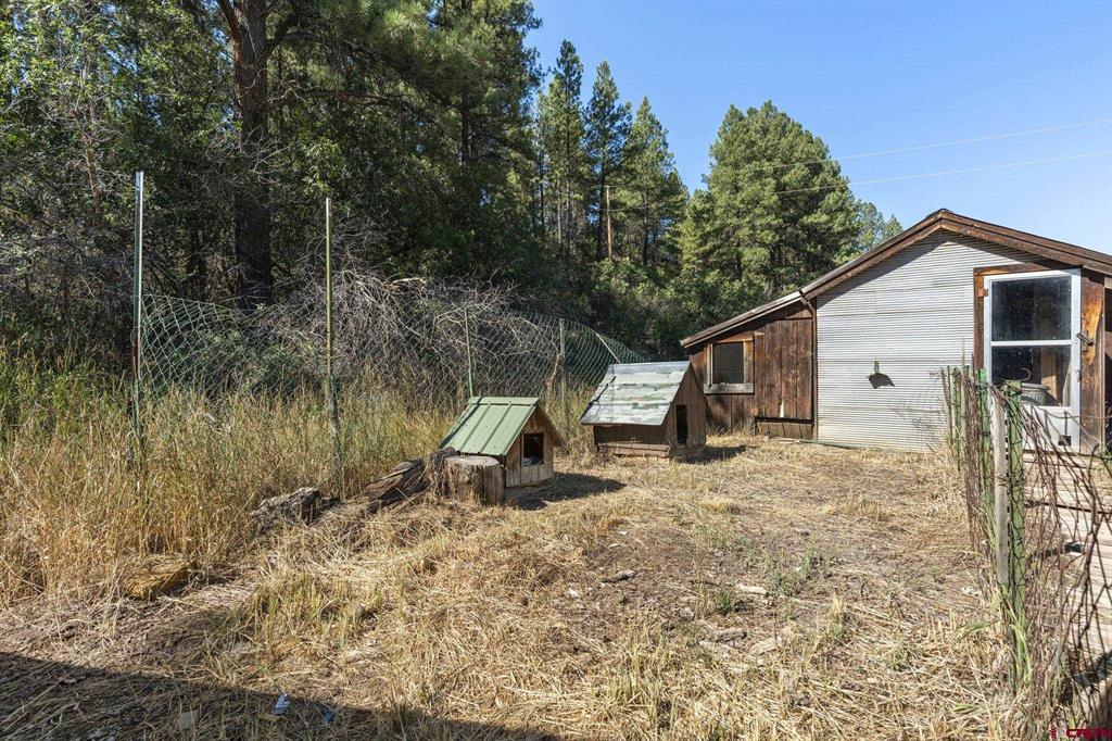 1059 E Stollsteimer Pagosa Springs CO 81147