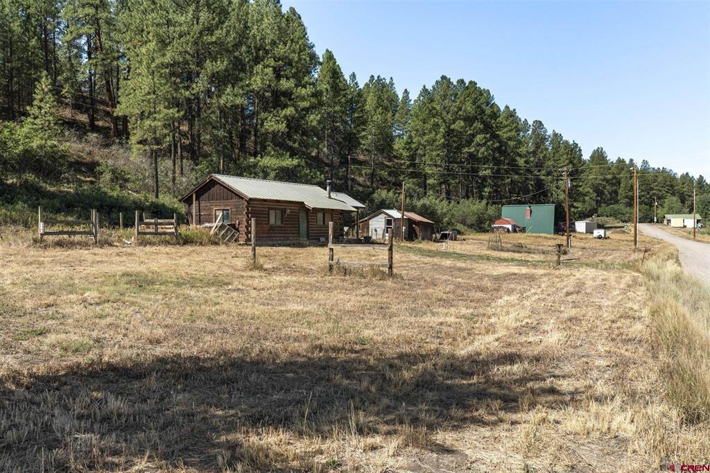 1059 E Stollsteimer Pagosa Springs CO 81147