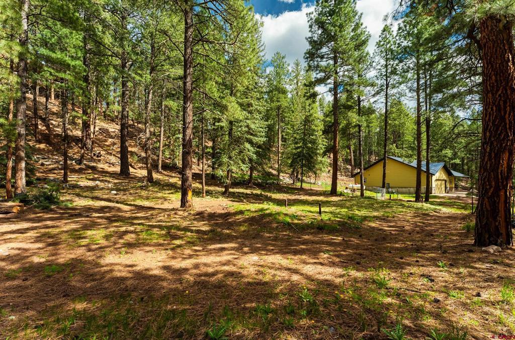 12316 County Road 501 Bayfield CO 81122