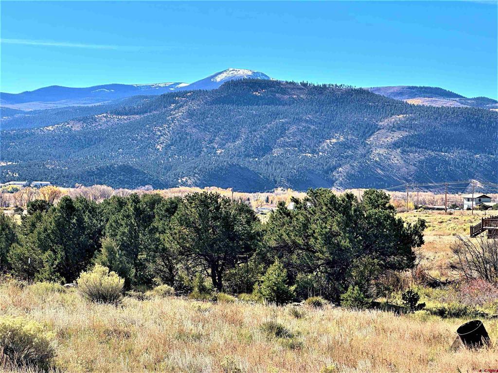 538 County Road 63 South Fork CO 81154