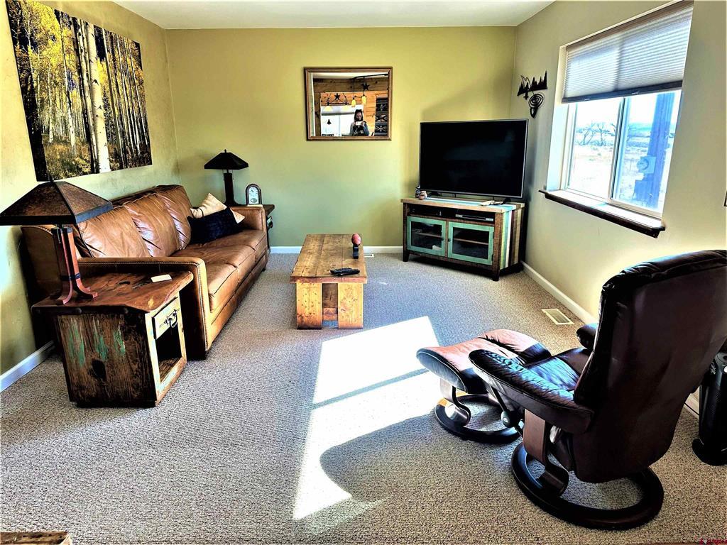 538 County Road 63 South Fork CO 81154