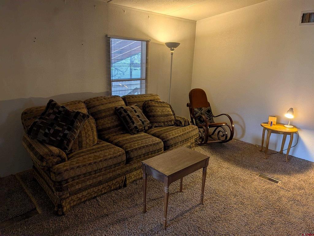 440 Denver Avenue Saguache CO 81149