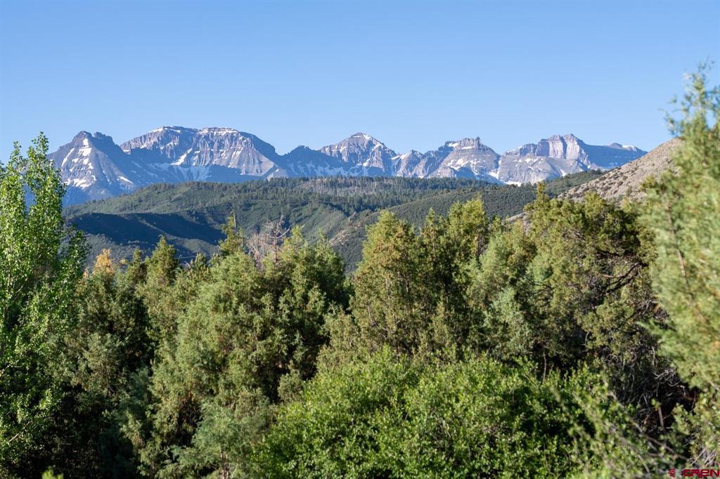 1559 County Road 5 Ridgway CO 81432