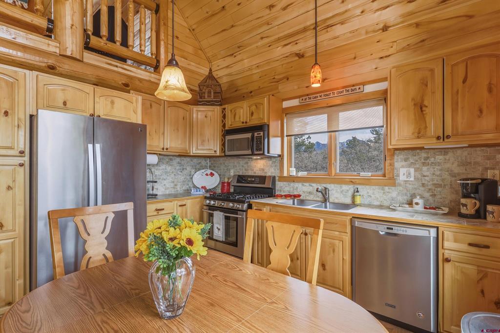 628 Berryhill Drive Pagosa Springs CO 81147