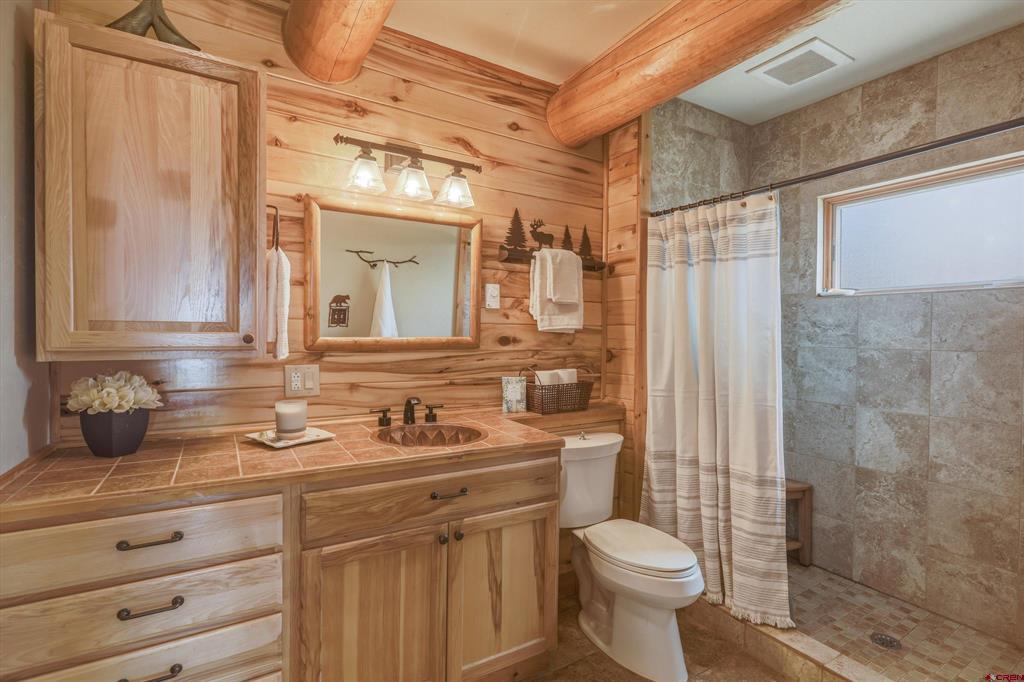 628 Berryhill Drive Pagosa Springs CO 81147