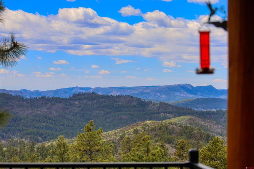 628 Berryhill Drive Pagosa Springs CO 81147