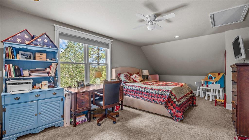 269 Puma Lane Ridgway CO 81432