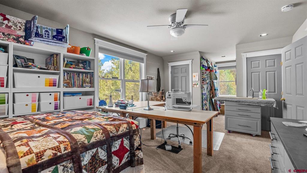 269 Puma Lane Ridgway CO 81432