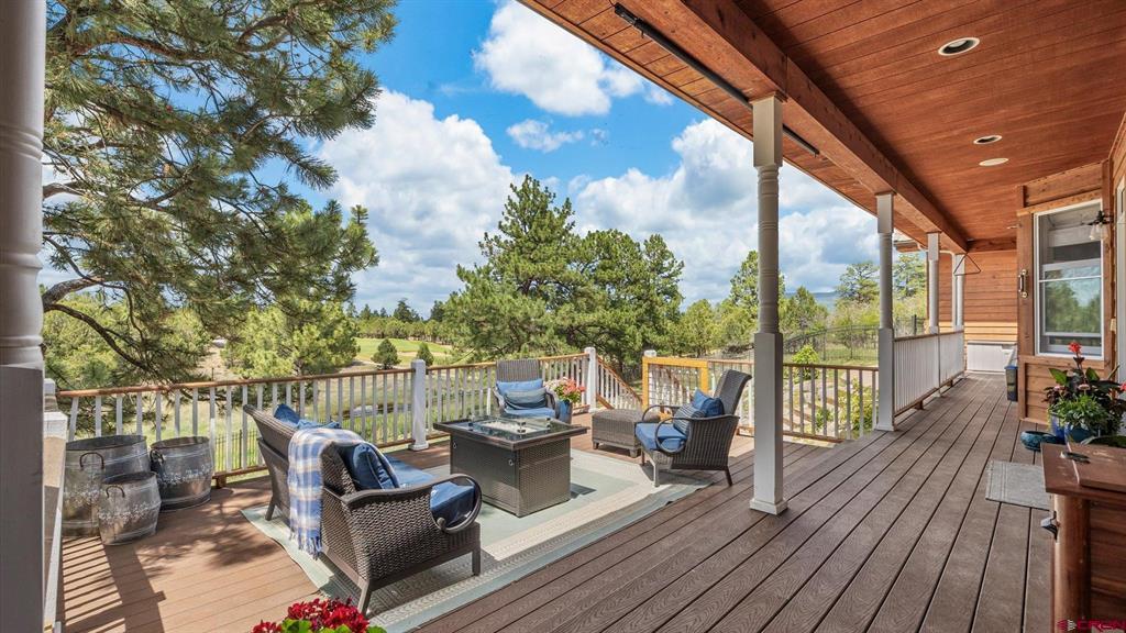 269 Puma Lane Ridgway CO 81432
