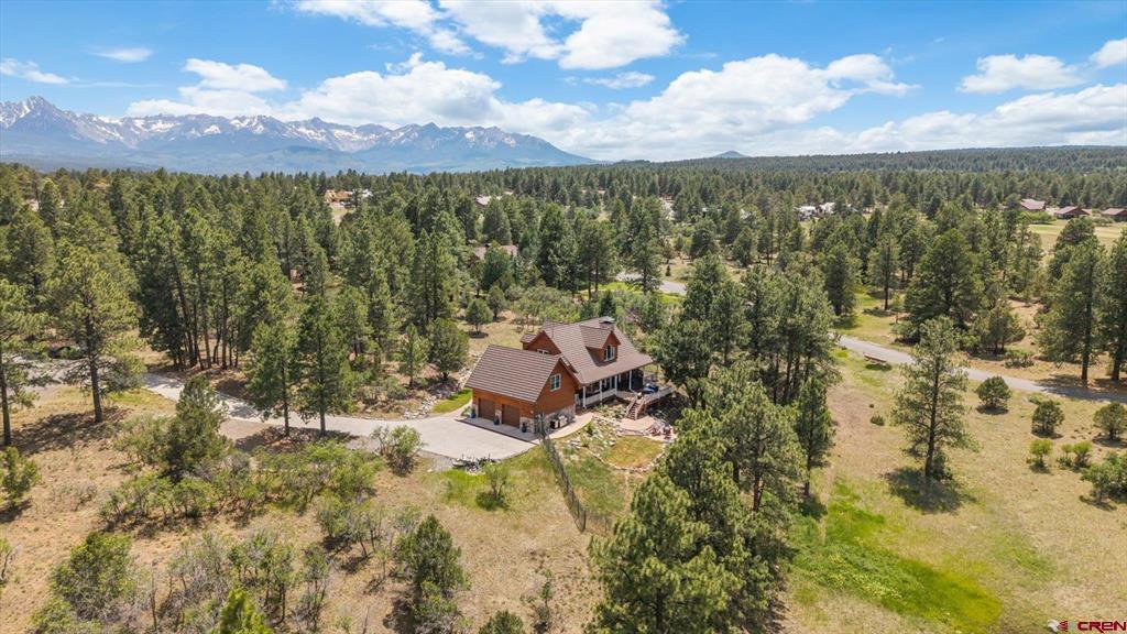 269 Puma Lane Ridgway CO 81432