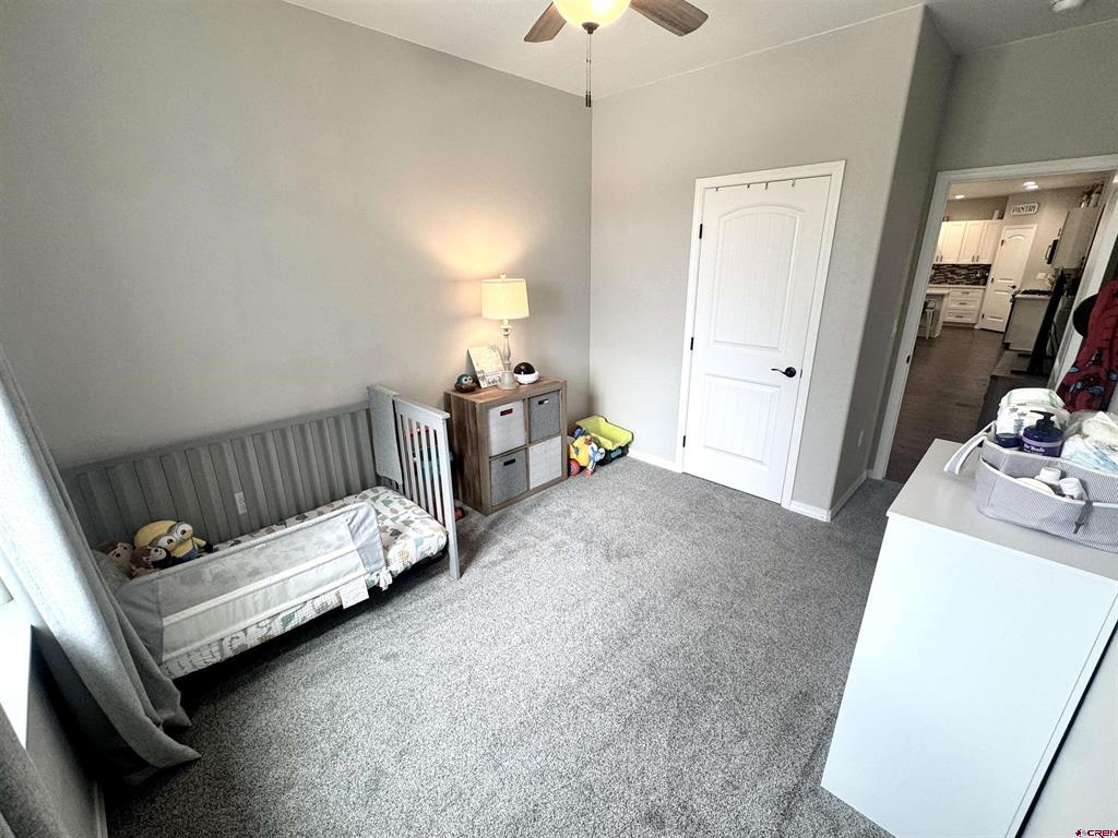 2802 Glacier Drive Montrose CO 81401