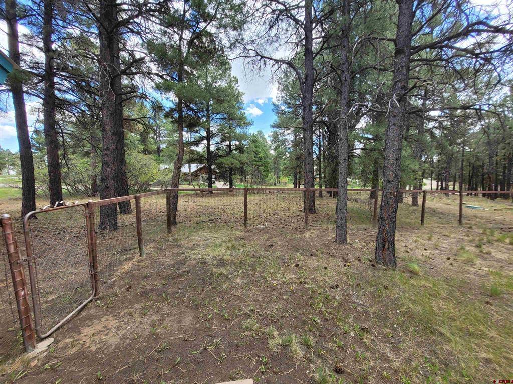 2009 Lake Forest Circle Pagosa Springs CO 81147