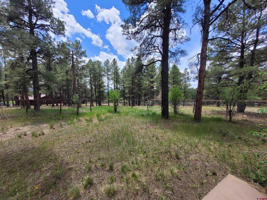 2009 Lake Forest Circle Pagosa Springs CO 81147