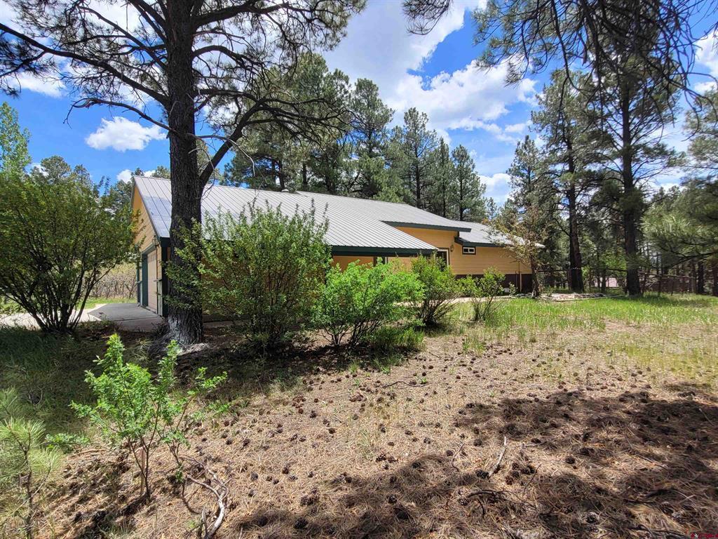 2009 Lake Forest Circle Pagosa Springs CO 81147