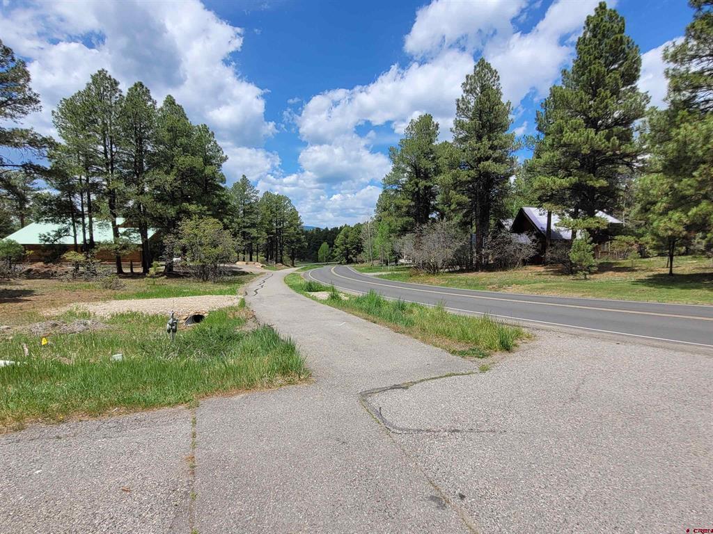 2009 Lake Forest Circle Pagosa Springs CO 81147