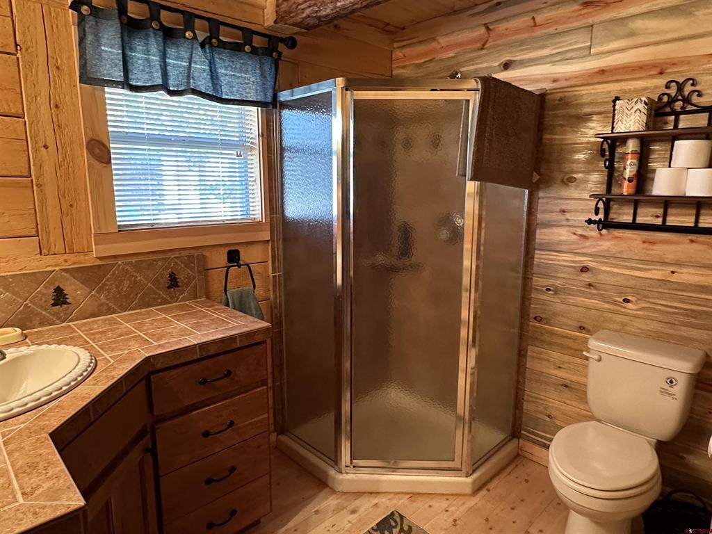 36825 Highway 149 Creede CO 81130