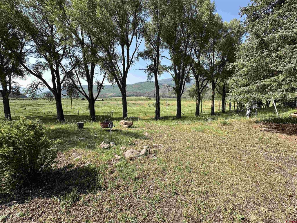 36825 Highway 149 Creede CO 81130
