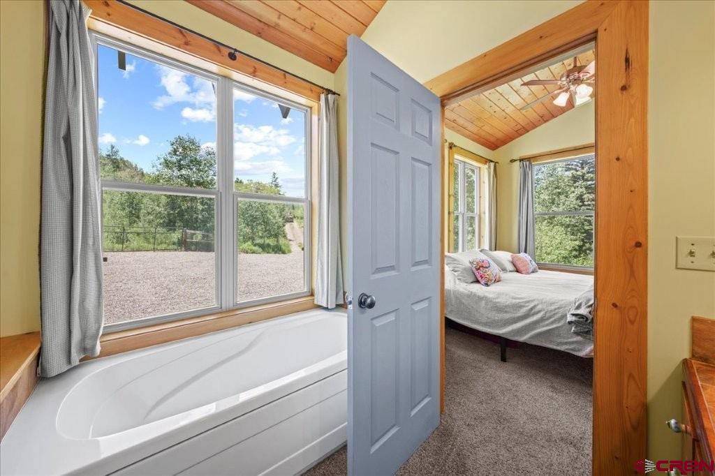 444 Which Way Ridgway CO 81432