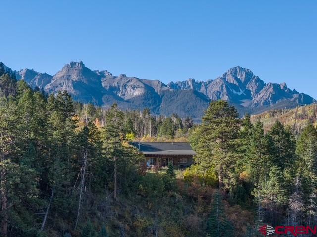 444 Which Way Ridgway CO 81432