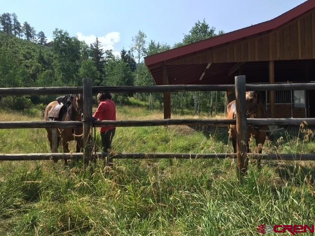 444 Which Way Ridgway CO 81432