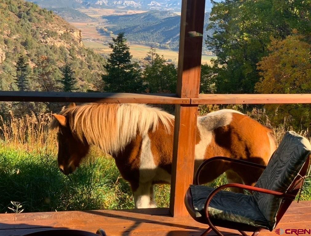 444 Which Way Ridgway CO 81432