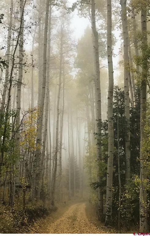 444 Which Way Ridgway CO 81432