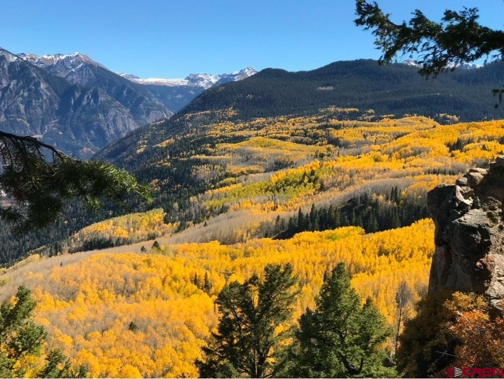 444 Which Way Ridgway CO 81432