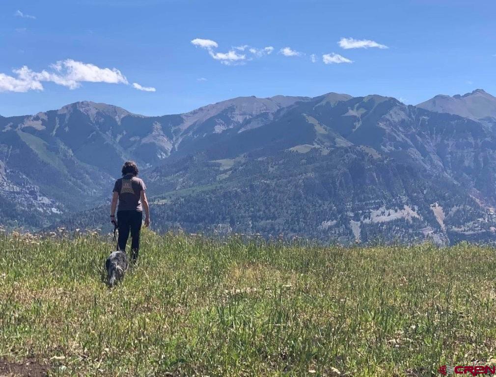 444 Which Way Ridgway CO 81432