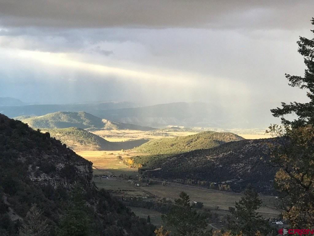 444 Which Way Ridgway CO 81432