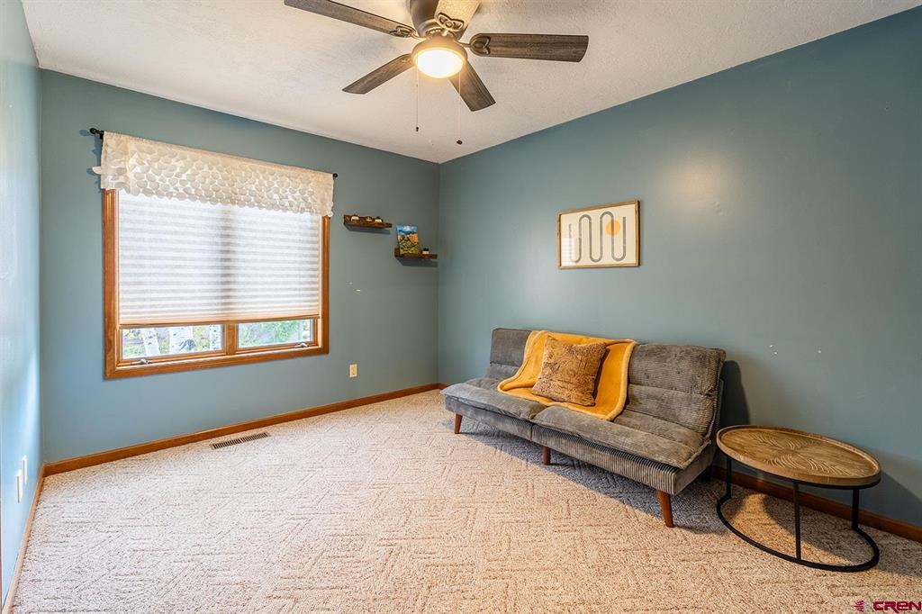 60 Davis Cup #102 Drive Pagosa Springs CO 81147