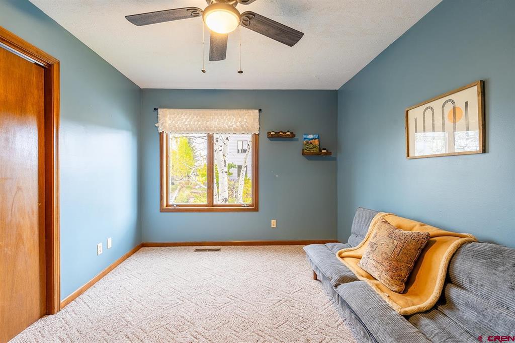 60 Davis Cup #102 Drive Pagosa Springs CO 81147