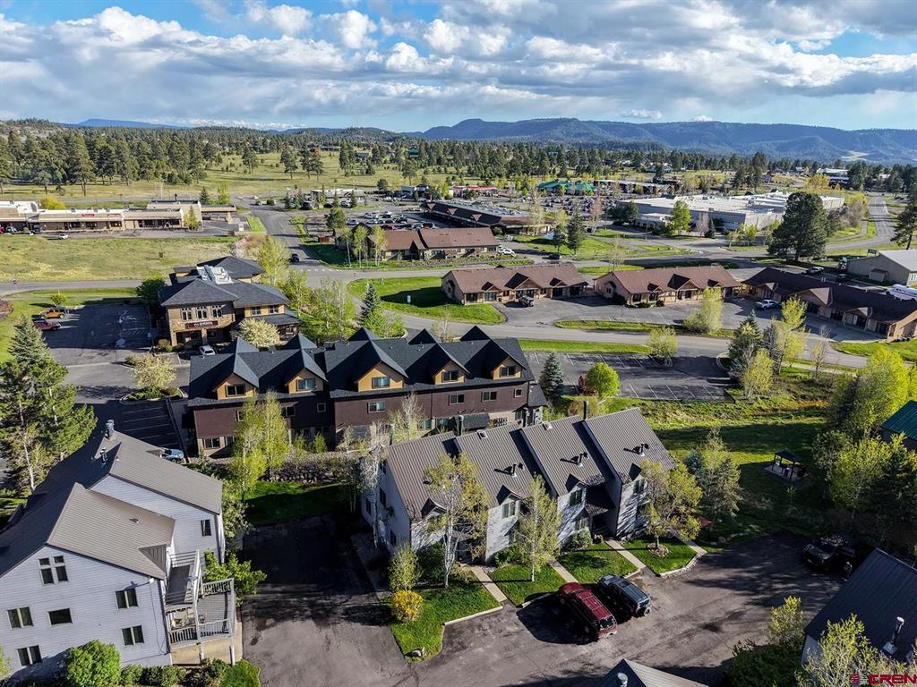 60 Davis Cup #102 Drive Pagosa Springs CO 81147