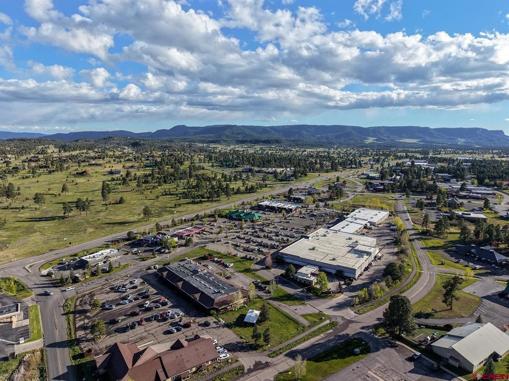 60 Davis Cup #102 Drive Pagosa Springs CO 81147