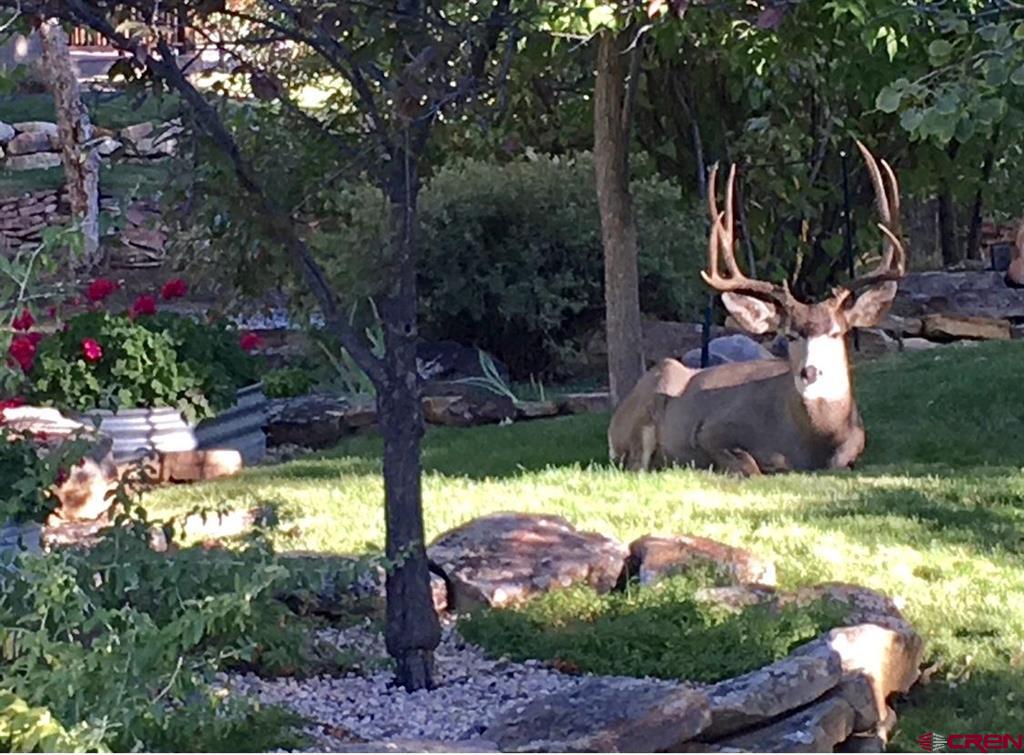 26 Inverness Place Durango CO 81301