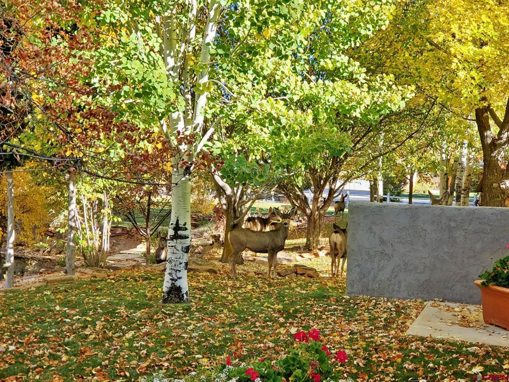 26 Inverness Place Durango CO 81301