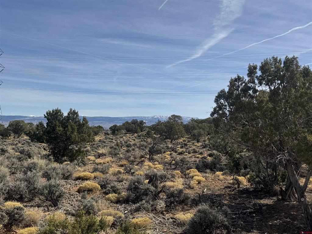17750 Remington Trail Montrose CO 81403