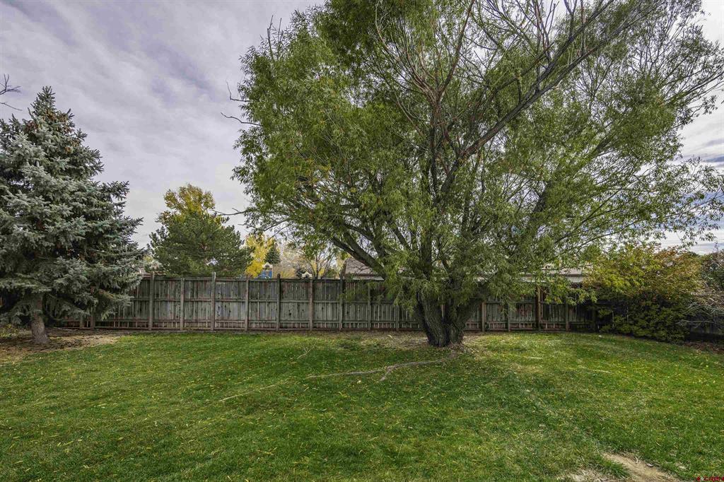 2555 Iris Court Montrose CO 81401