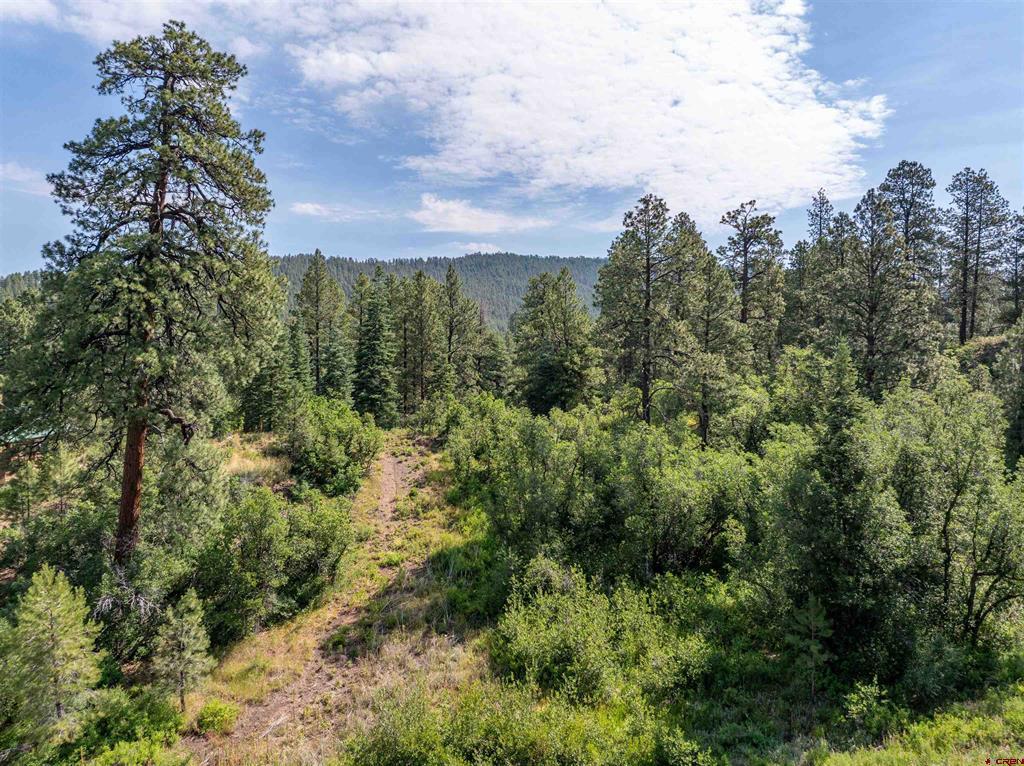 89 Sunset Lane Durango CO 81301