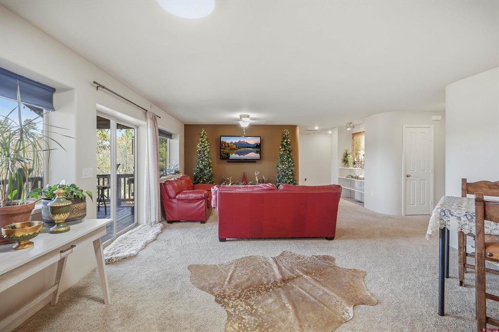 1594 Meadows Drive Pagosa Springs CO 81147