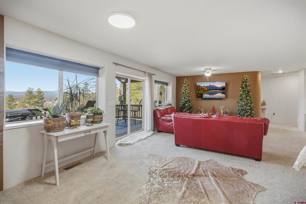 1594 Meadows Drive Pagosa Springs CO 81147