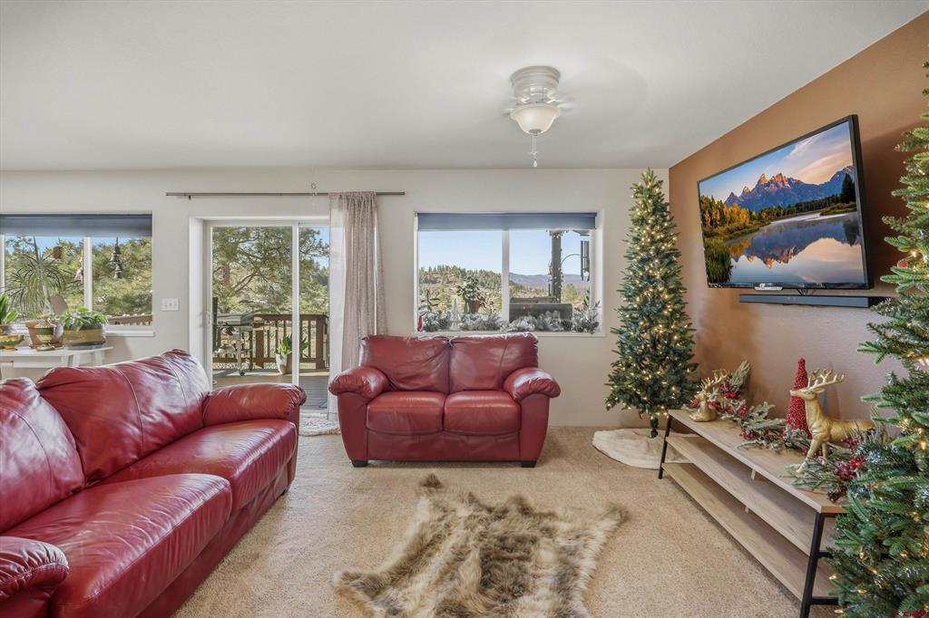 1594 Meadows Drive Pagosa Springs CO 81147