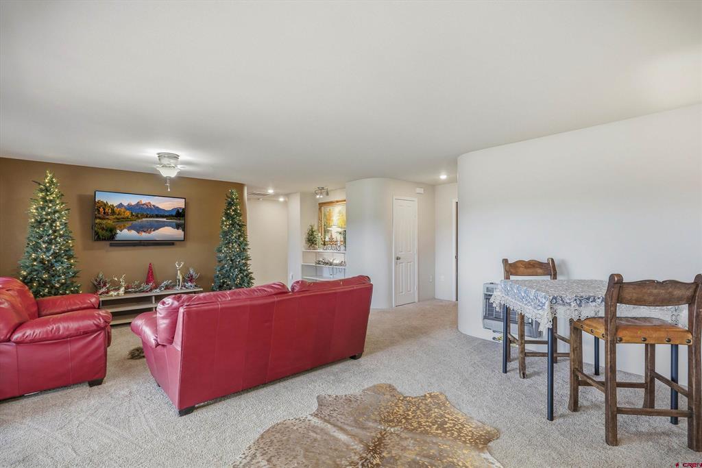 1594 Meadows Drive Pagosa Springs CO 81147