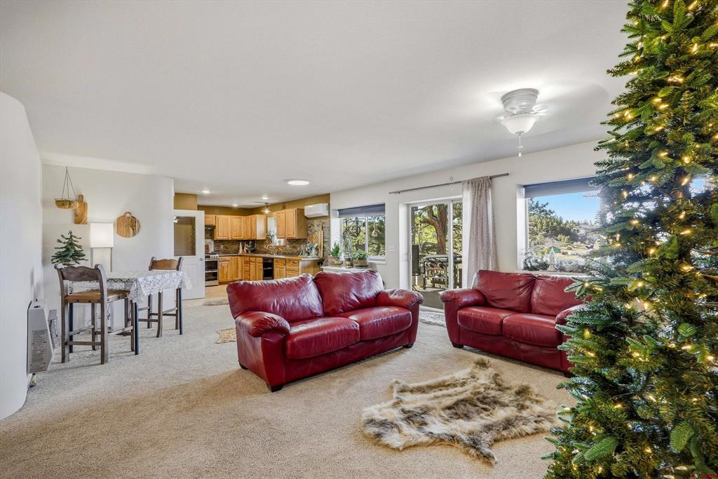 1594 Meadows Drive Pagosa Springs CO 81147