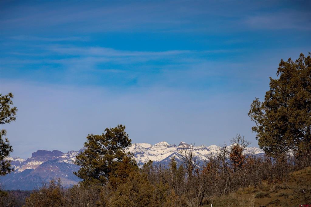 1594 Meadows Drive Pagosa Springs CO 81147