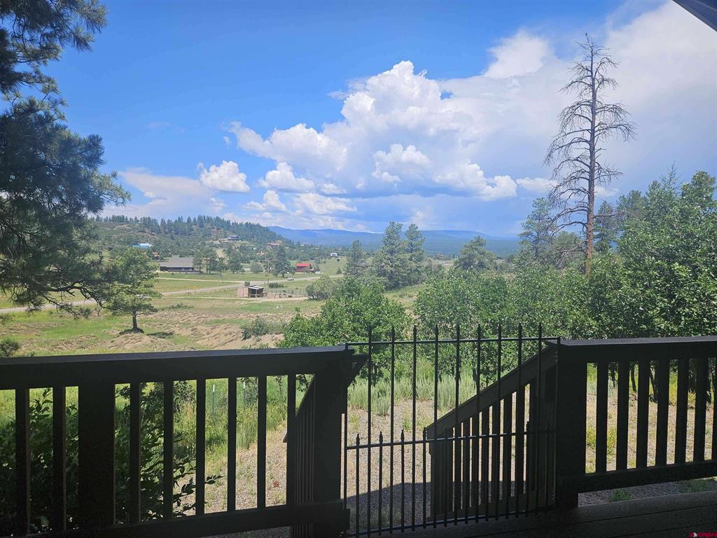 1594 Meadows Drive Pagosa Springs CO 81147