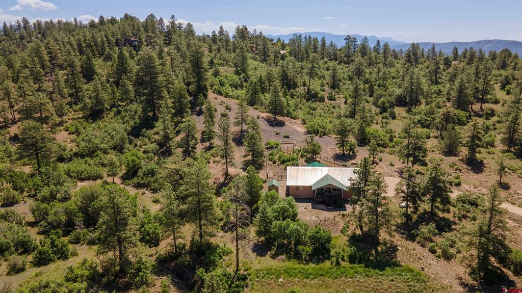 1594 Meadows Drive Pagosa Springs CO 81147