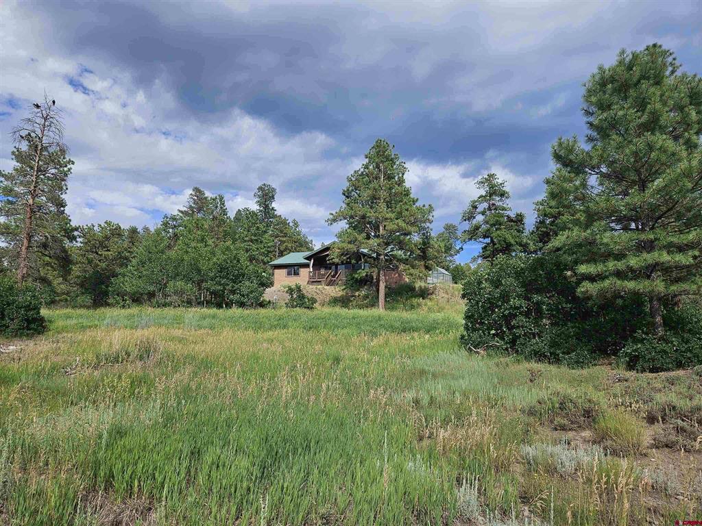 1594 Meadows Drive Pagosa Springs CO 81147