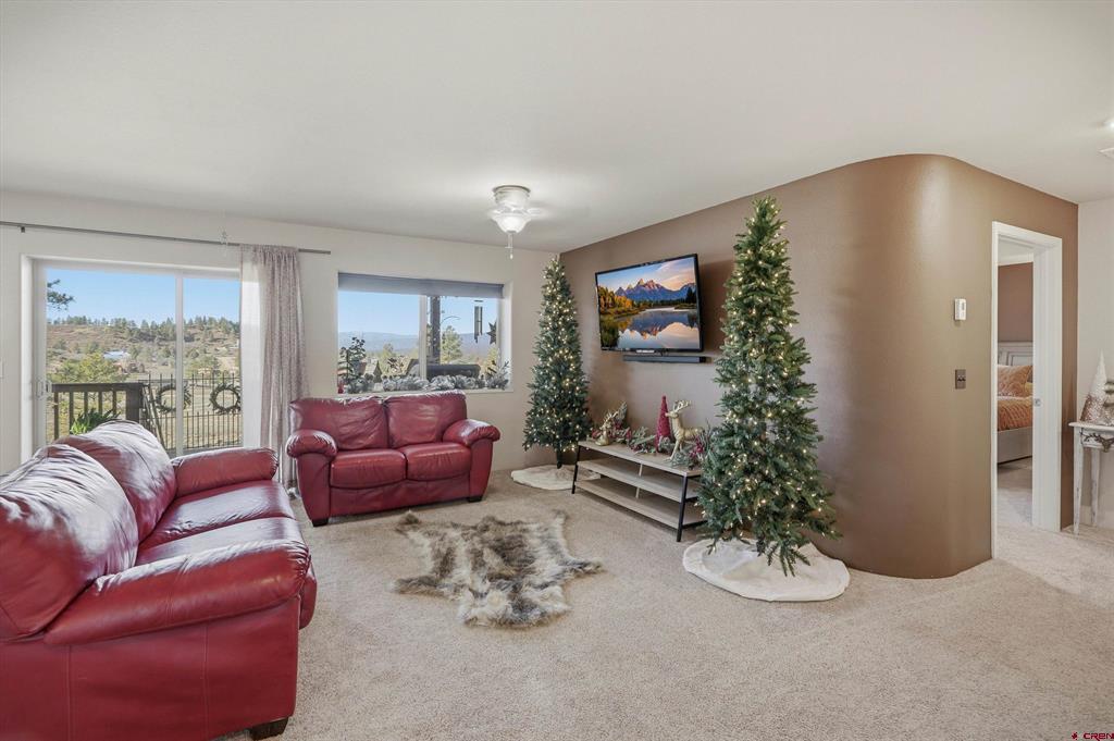 1594 Meadows Drive Pagosa Springs CO 81147