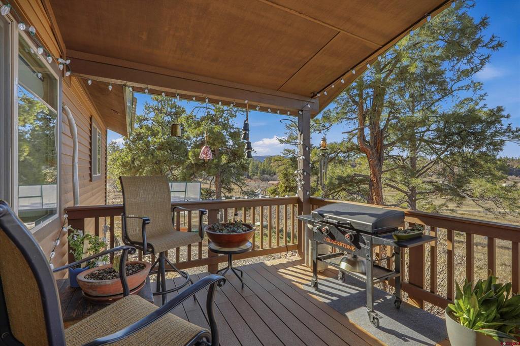 1594 Meadows Drive Pagosa Springs CO 81147
