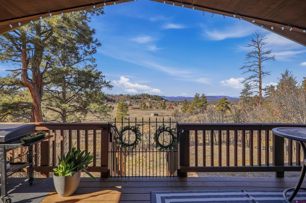 1594 Meadows Drive Pagosa Springs CO 81147